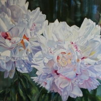 White Peony XVII